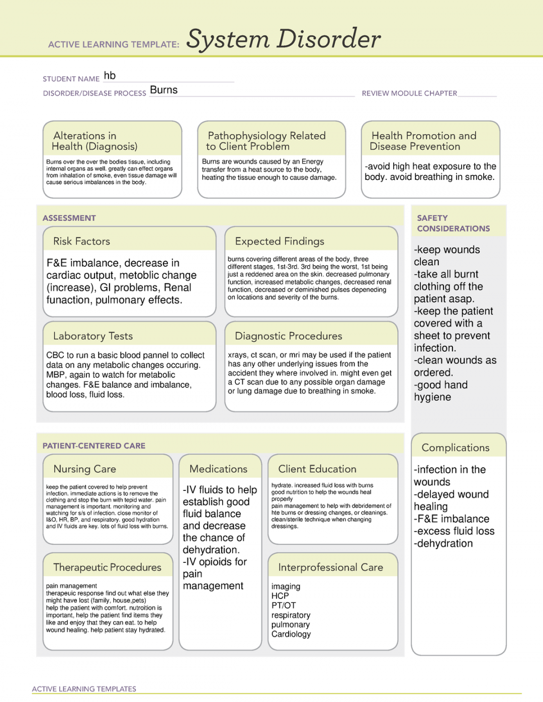 ATI System disorder Burns template - ACTIVE LEARNING TEMPLATES