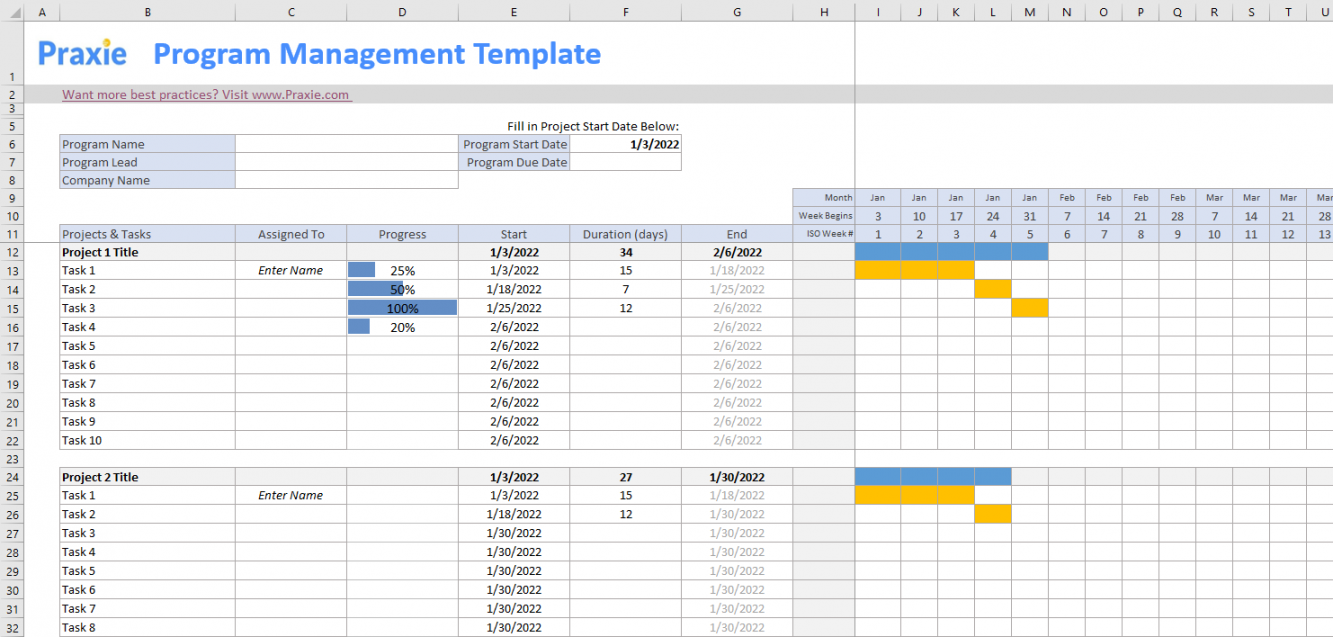 Program Management Template – Project Management Software Online Tools