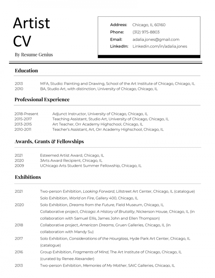 Artist CV  Example, Template, & How to Write  Resume Genius