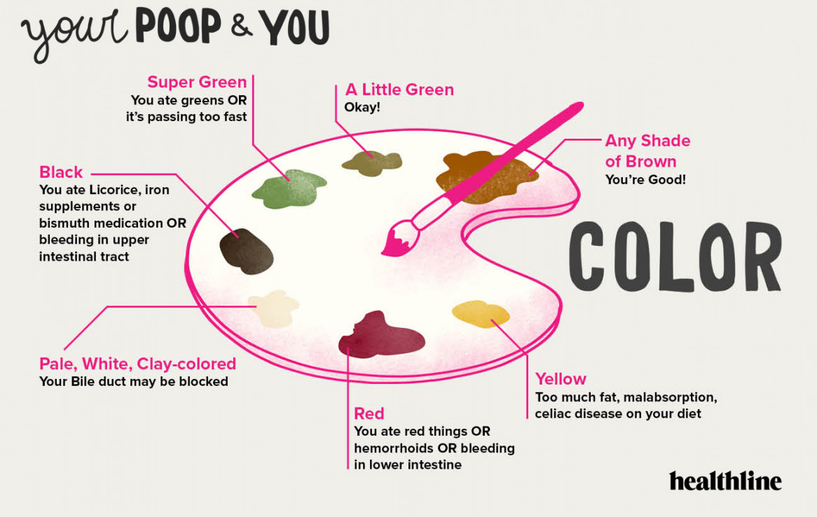 Identifying Types of Poop with the Bristol Stool Chart and More