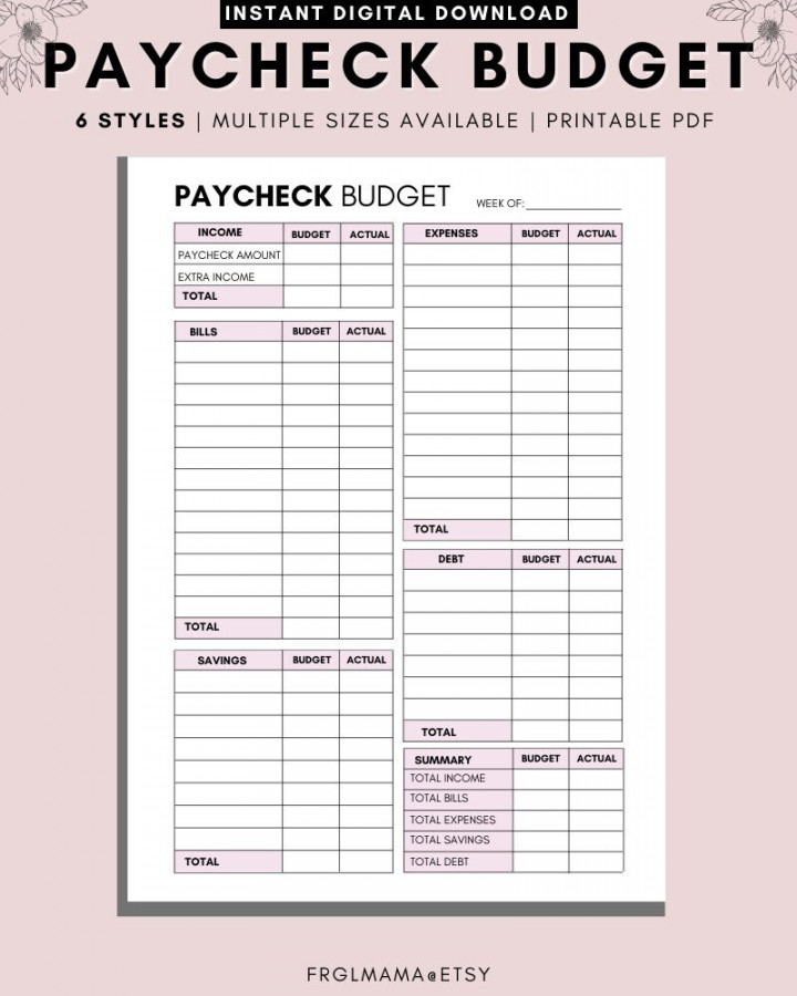 WEEKLY Budget Overview Template Printable Paycheck Budget - Etsy