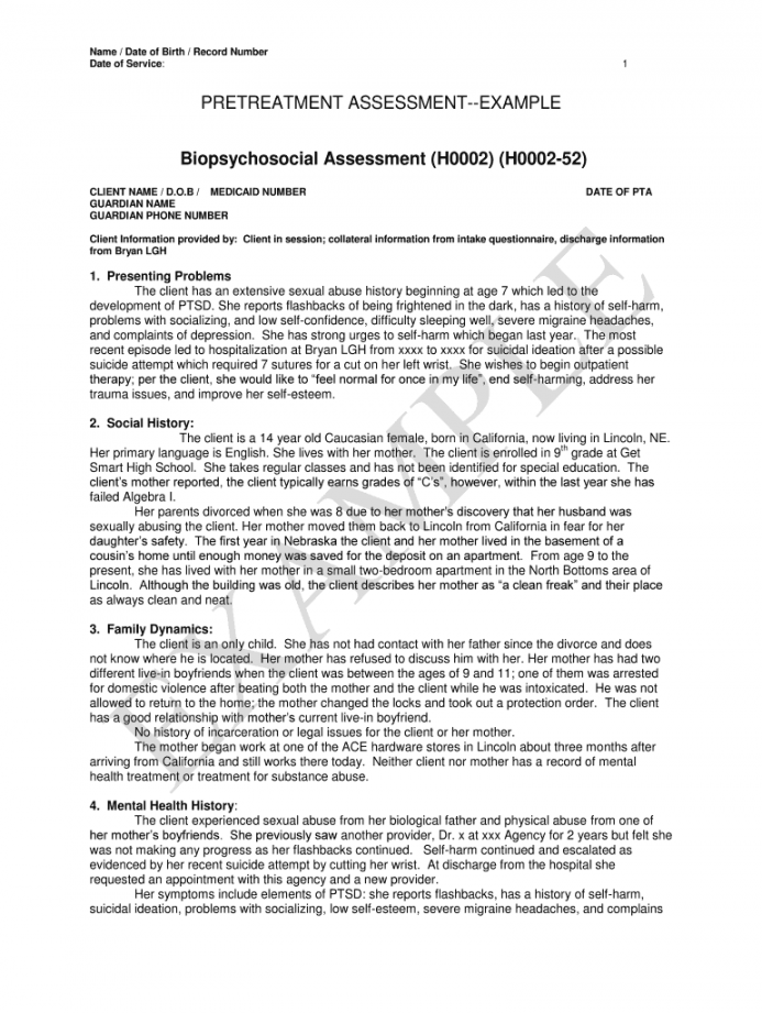 Biopsychosocial Assessment Example - Fill Online, Printable