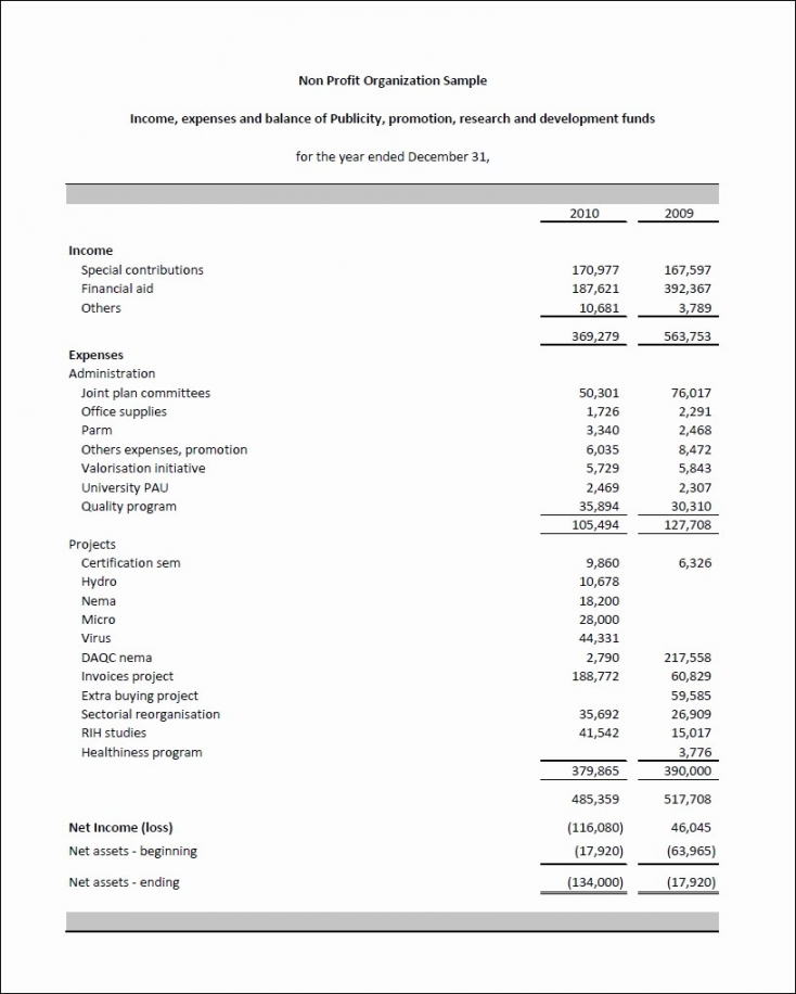 Financial Statement Template For Nonofit Organization Of Audited