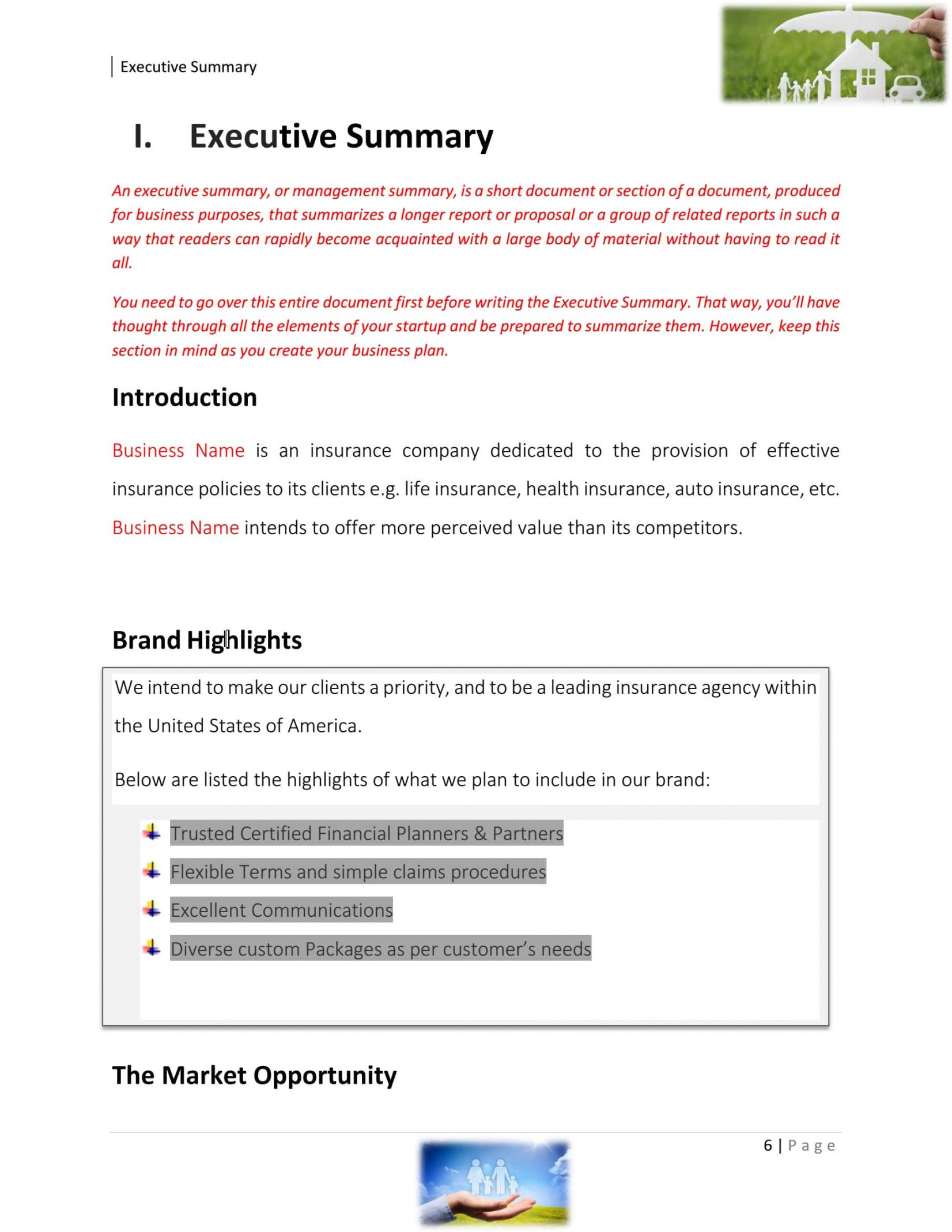 Insurance Agency Business Plan Template Sample Pages - Black Box