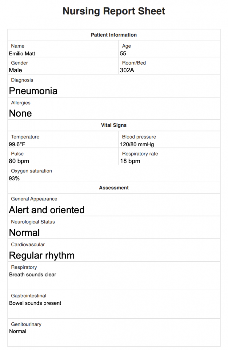 Nursing Report Sheet & Example  Free PDF Download