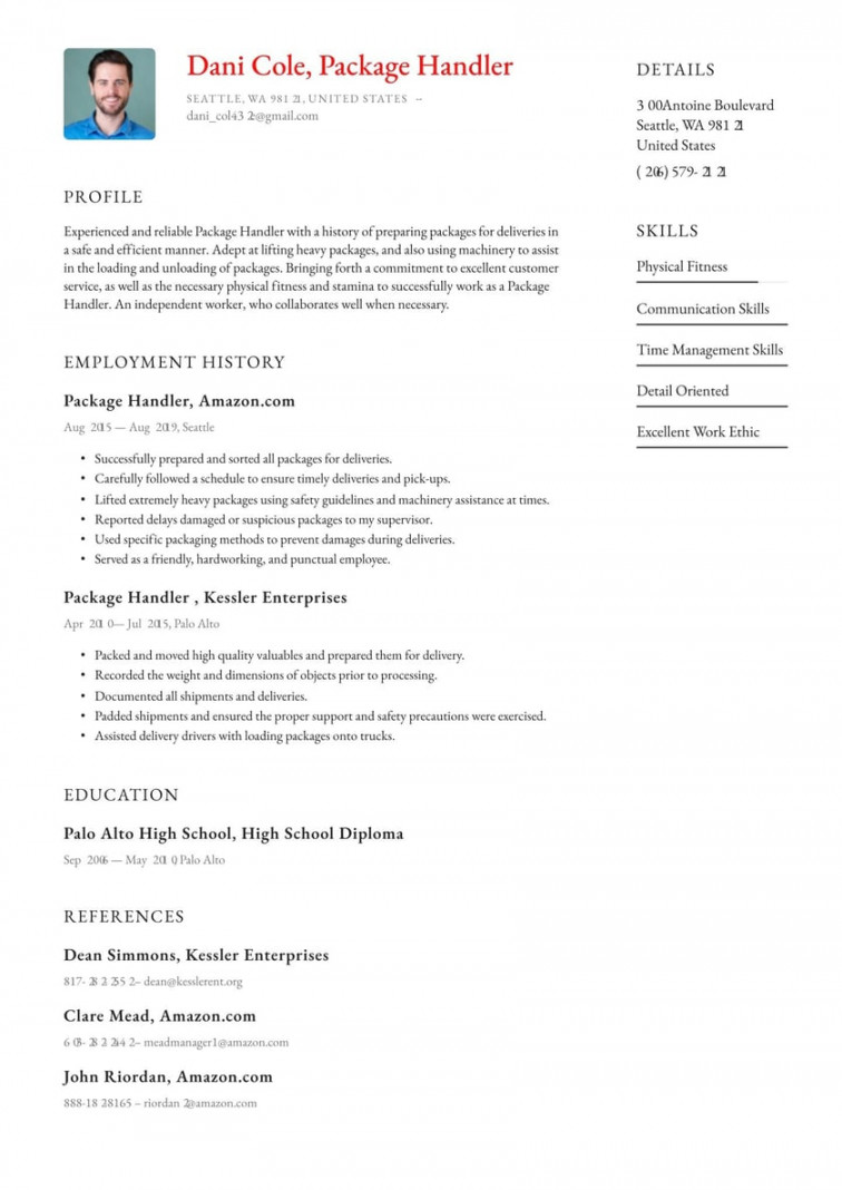 Package Handler Resume Example & Writing Guide · Resume