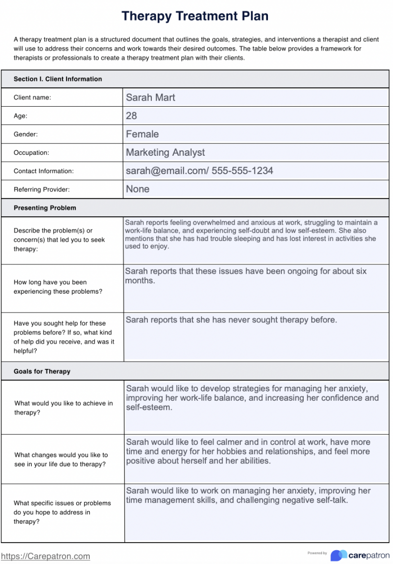 Therapy Treatment Plan & Example  Free PDF Download