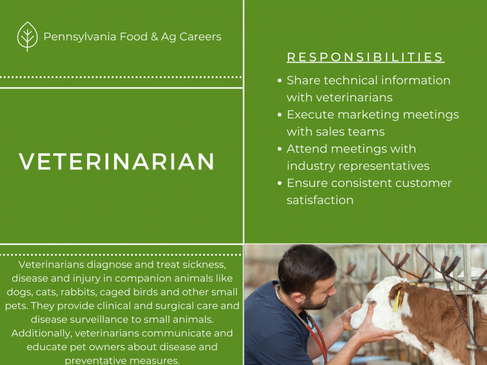 Veterinarian - AG AND FOOD CAREERS IN PA