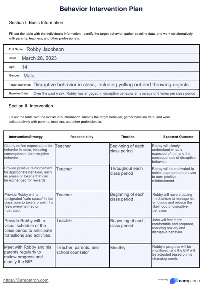 Behavior Intervention Plan (BIP) & Example  Free PDF Download