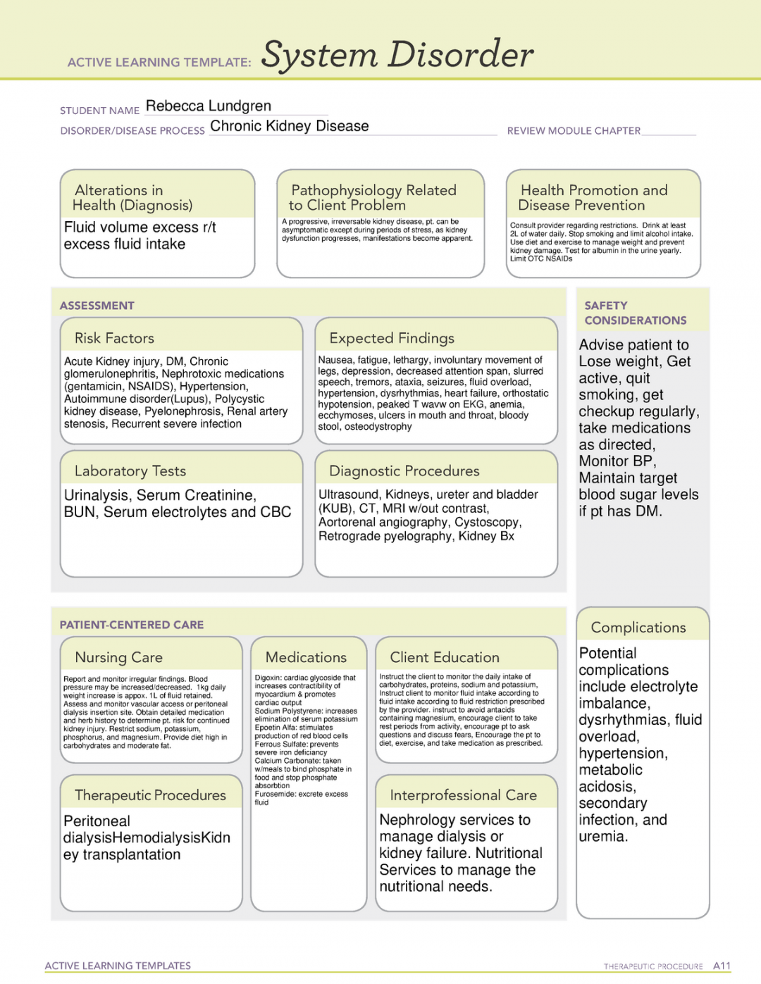 Chronic Kidney Disease System Disorder - ACTIVE LEARNING TEMPLATES