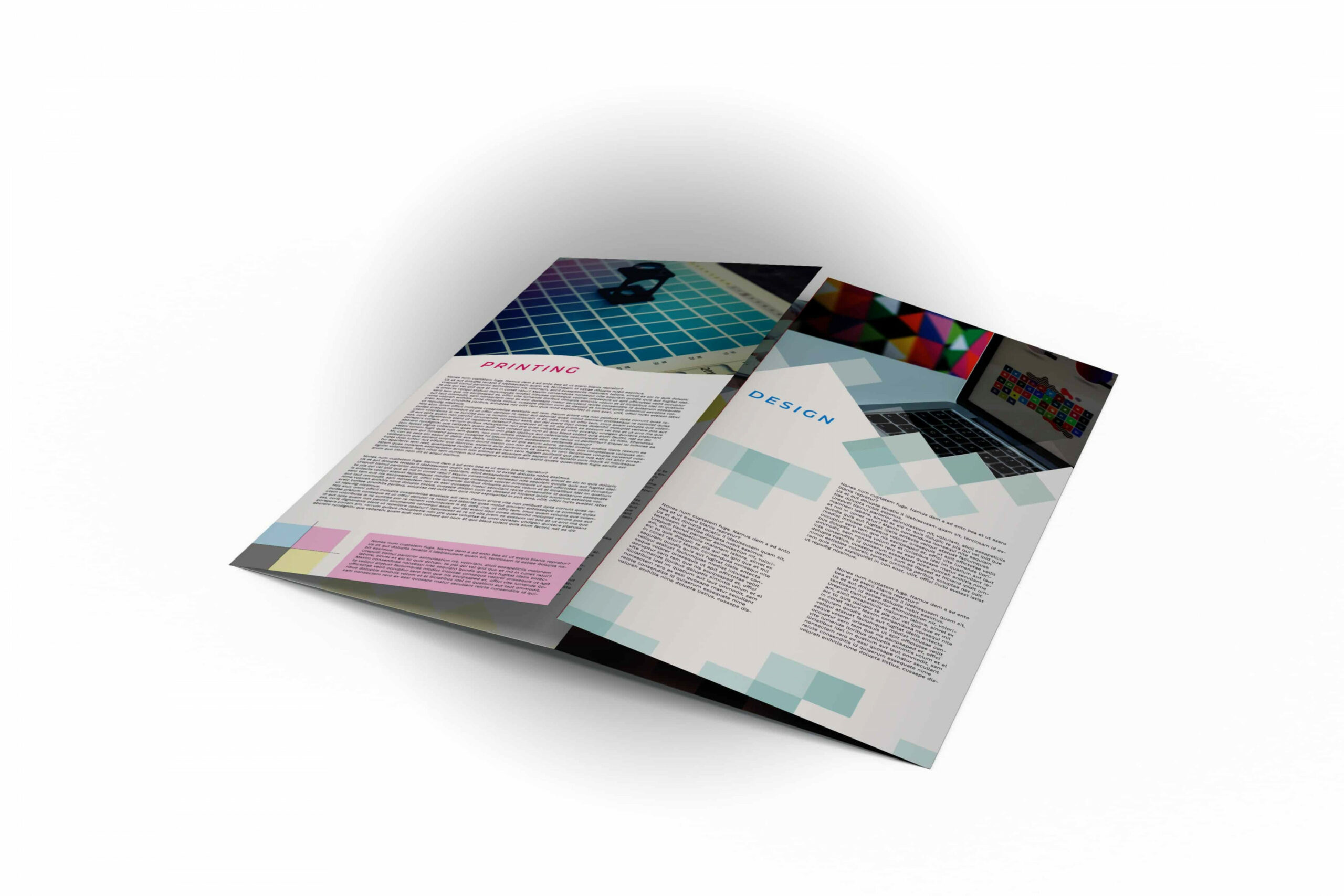 Double Gate Fold Brochure -  Panel