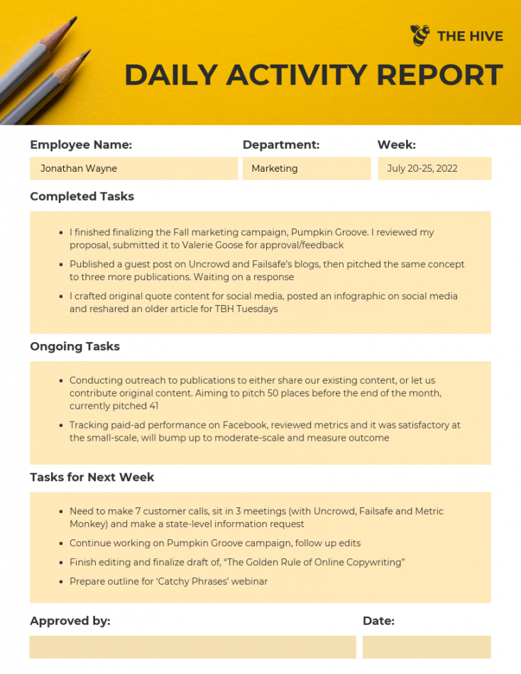 Employee Daily Activity Report Template - Venngage