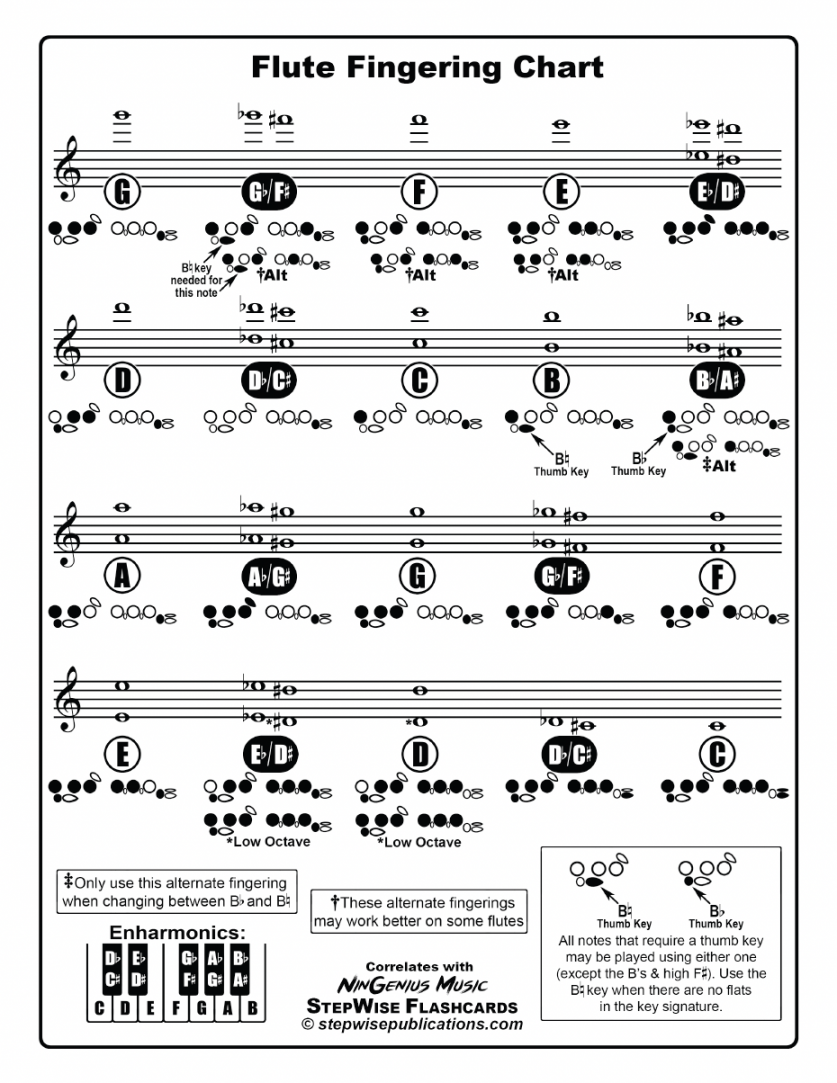 Flute Fingering Chart and Flashcards - StepWise Publications