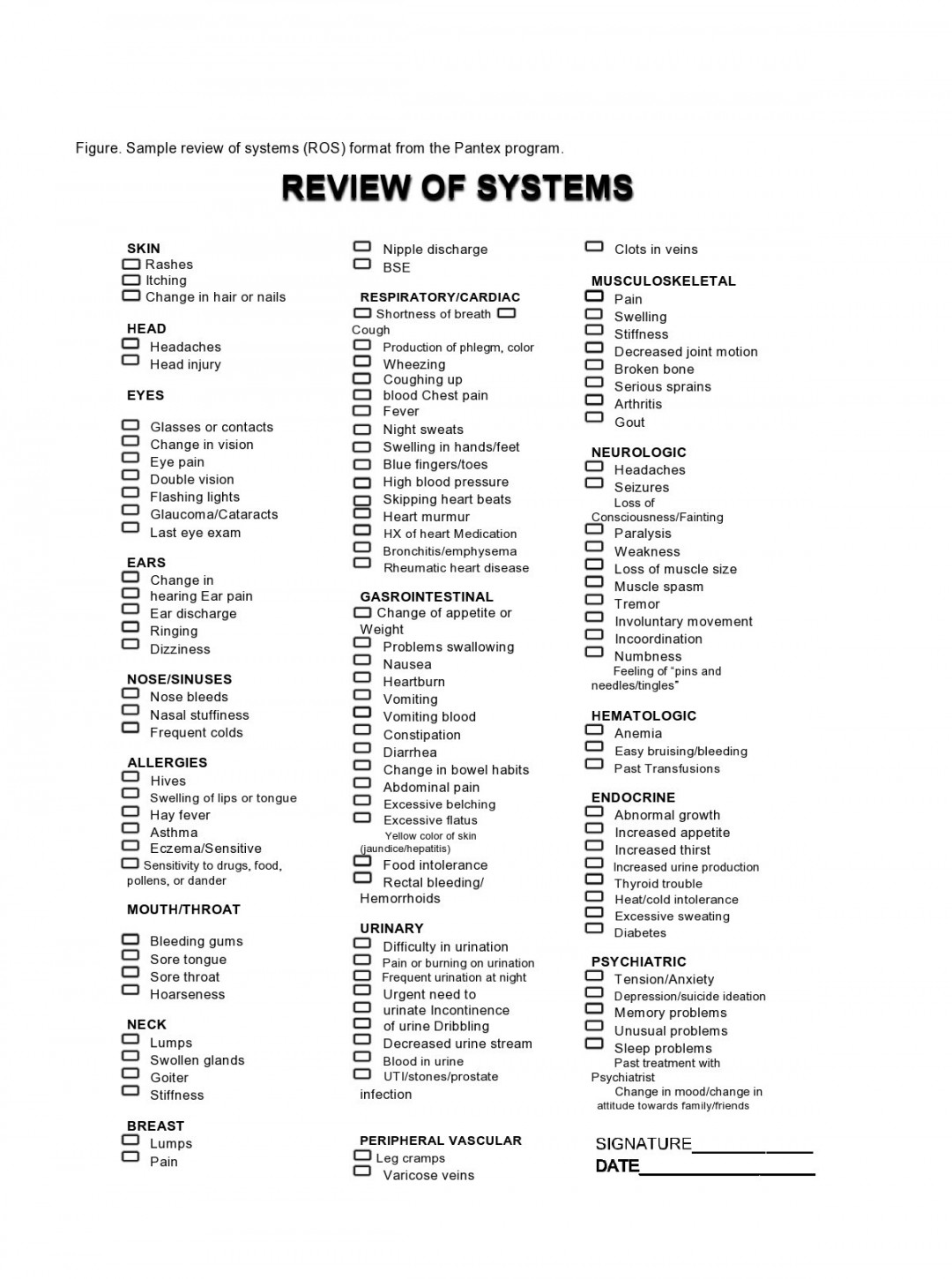 Free Review of Systems Templates (+Checklist) ᐅ TemplateLab