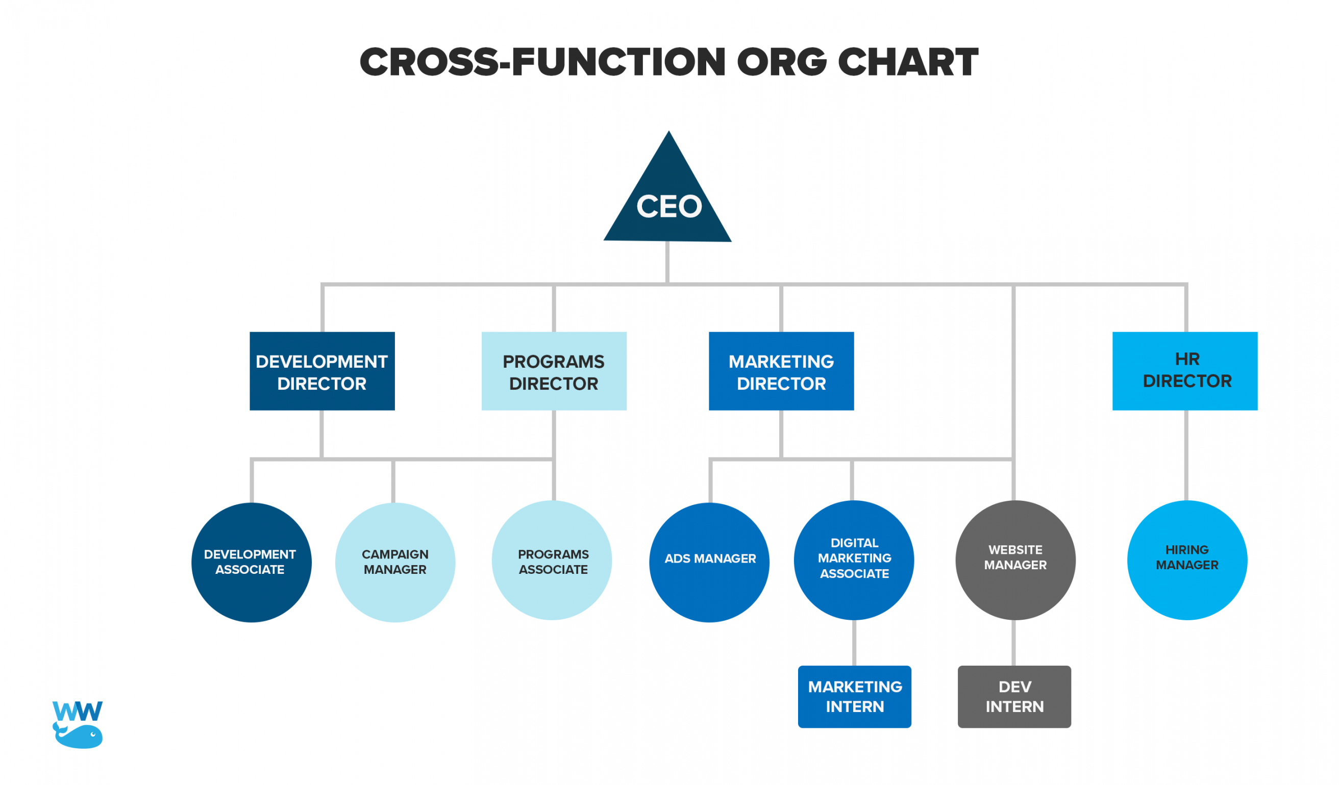 How to Create a Nonprofit Organizational Chart  EdrawMind