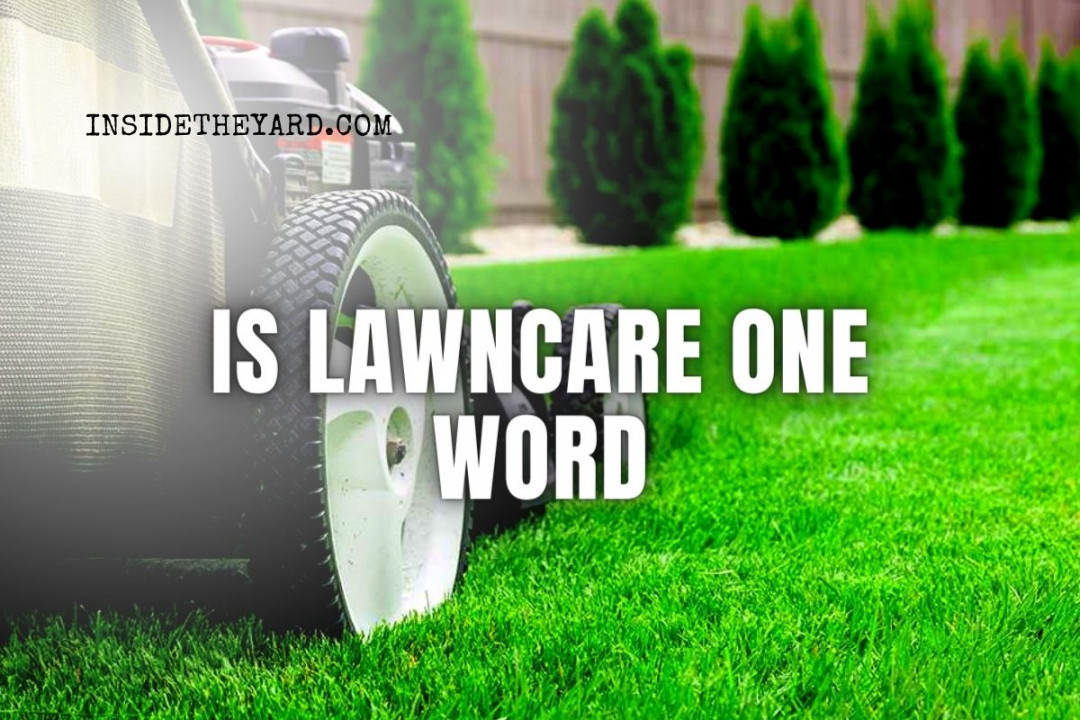 Is Lawncare One Word? A Great Debate, But What