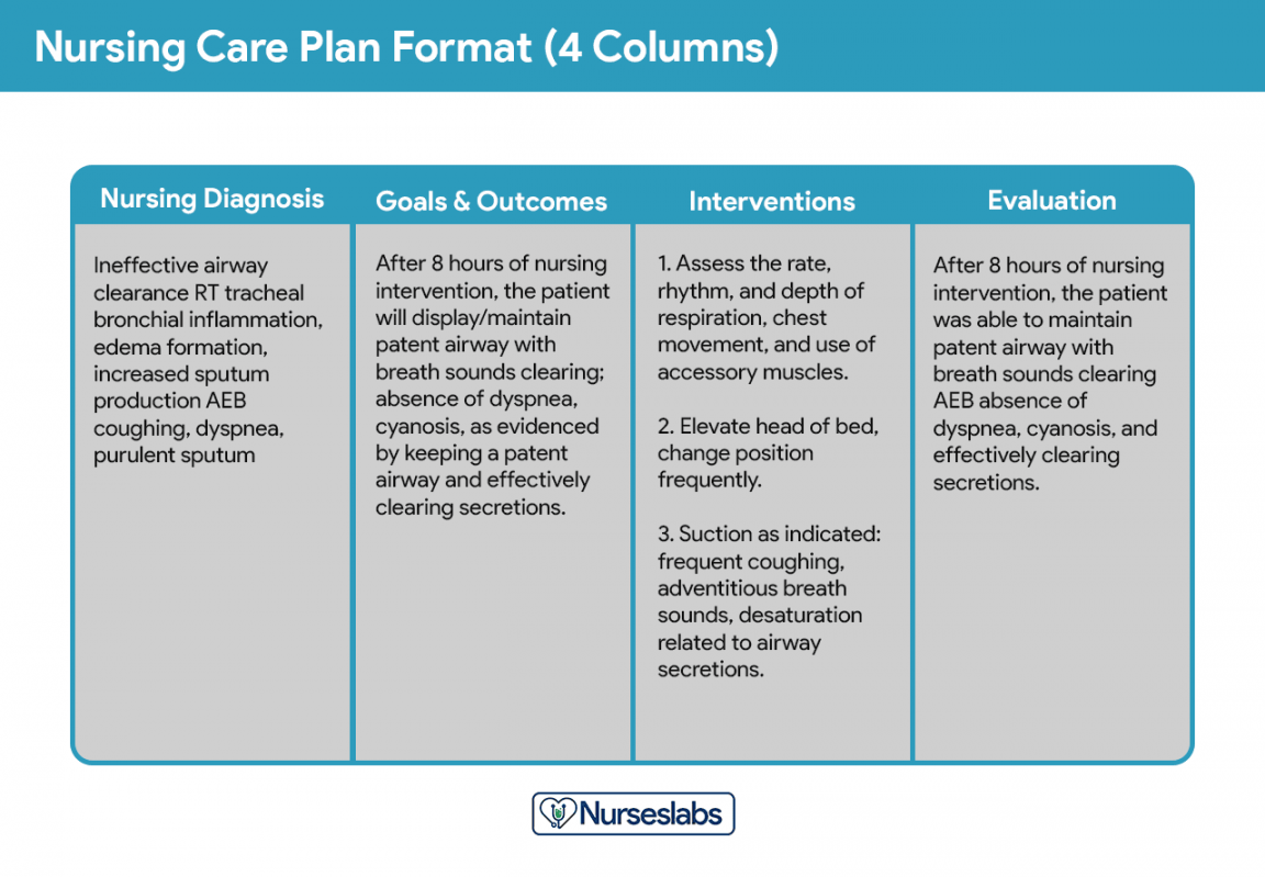 Nursing Care Plan (NCP): Ultimate Guide & List [ Update