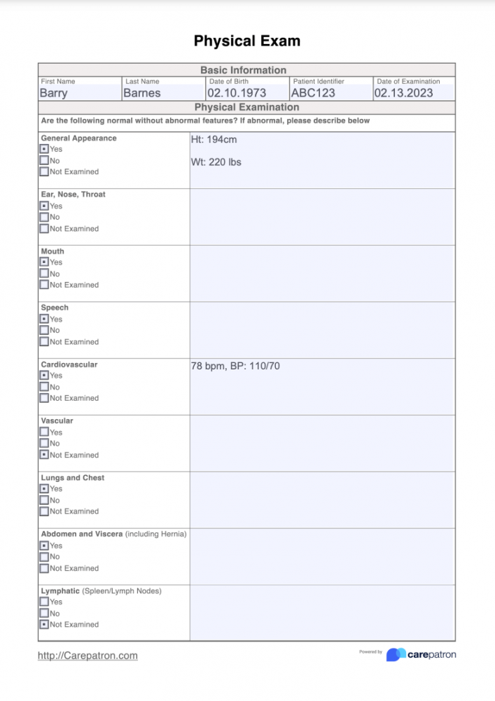 Physical Exam Template & Example  Free PDF Download