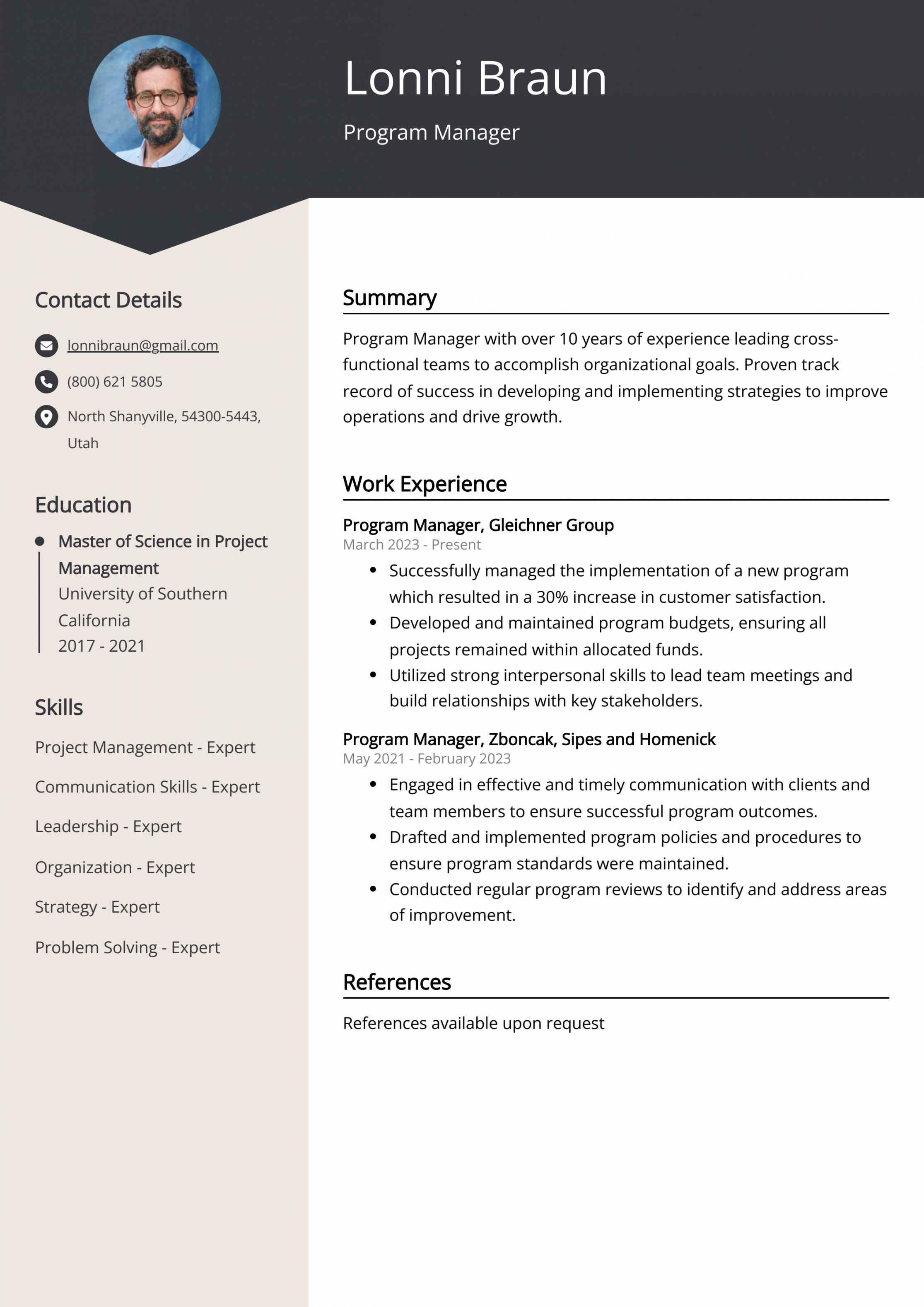 Program Manager CV Examples (Template & + Tips)