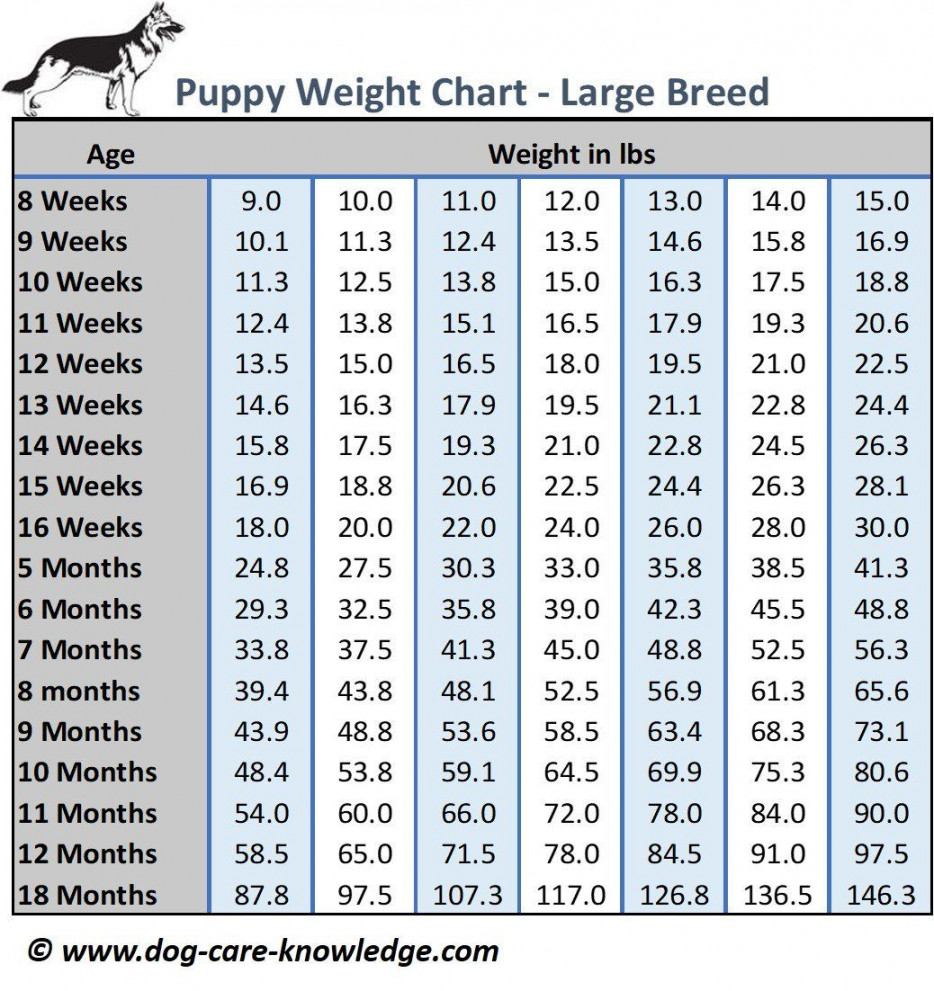 Puppy Weight Chart: This is How Big Your Dog Will Be  Puppy