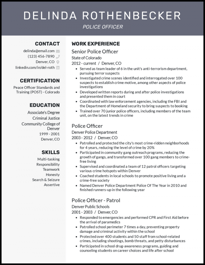 Real Police Officer Resume Examples That Worked in