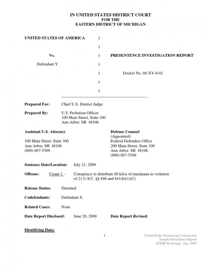 Sample Pre-Sentence Investigation Report  PDF  United States