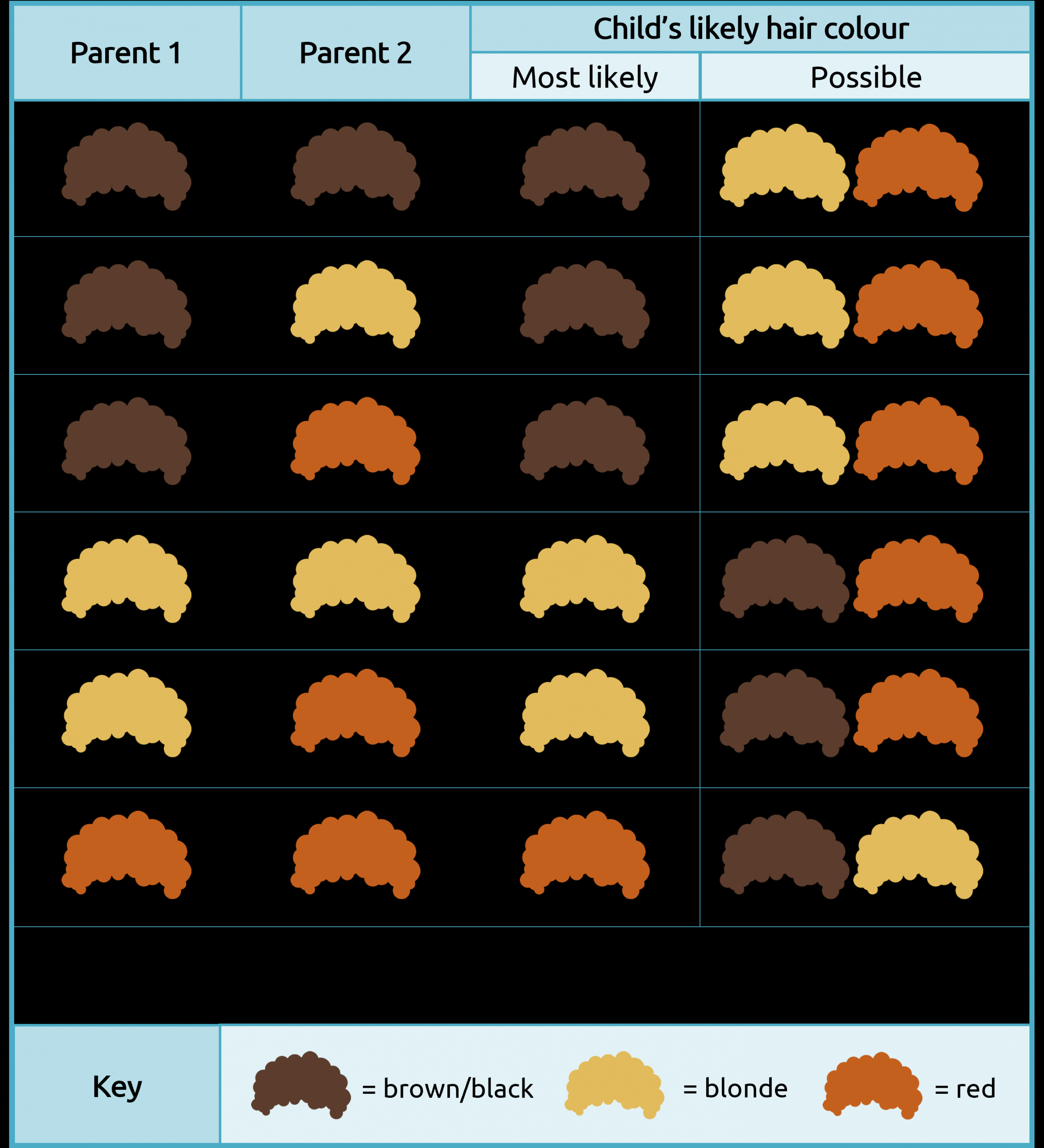 What Color Hair Will My Baby Have? (A Genetics Guide