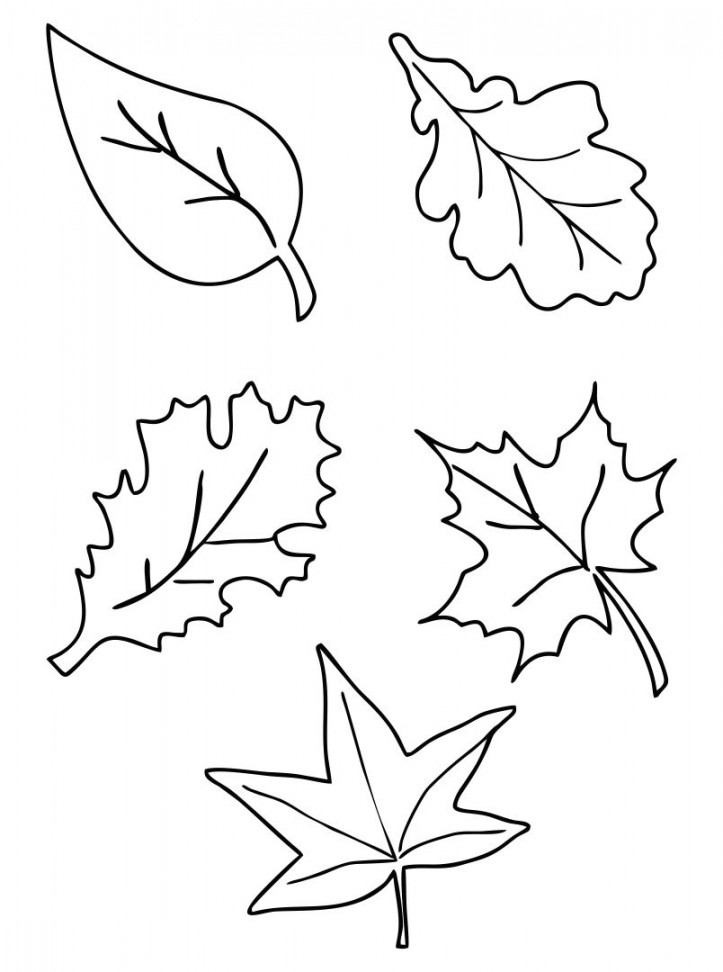 Fall Leaf Template Free Printable - Printable Templates Free