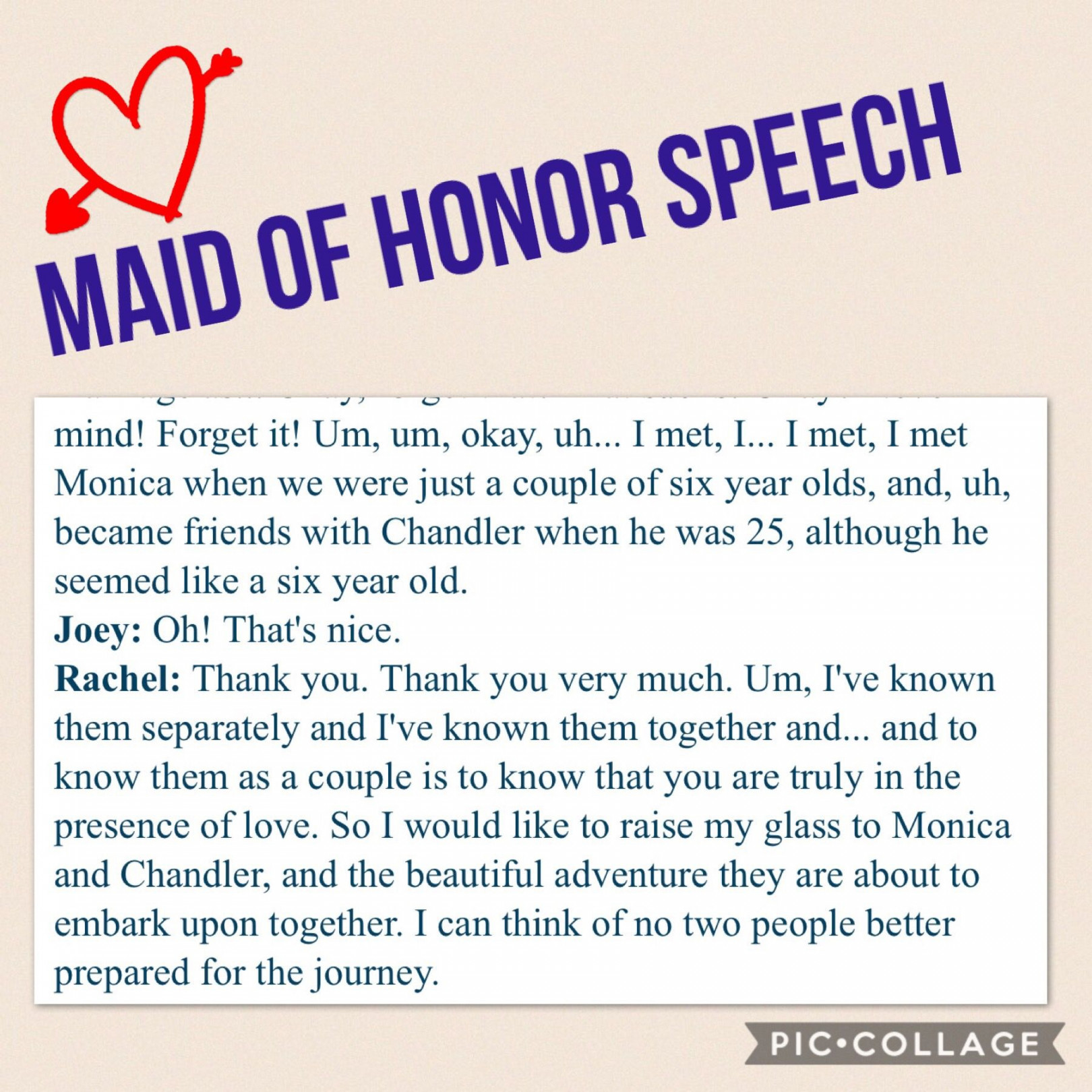 Maid of honor speech from Friends  Best friend wedding speech