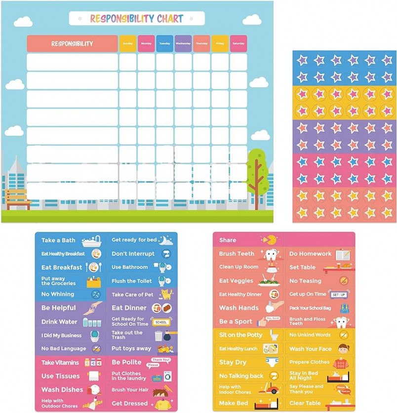 Pneat Good Behavior Chart - Chore Chart - Magnetic Responsibility