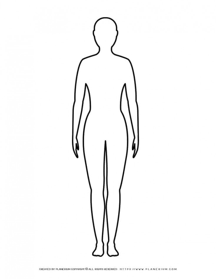 Female Body Outline  Planerium