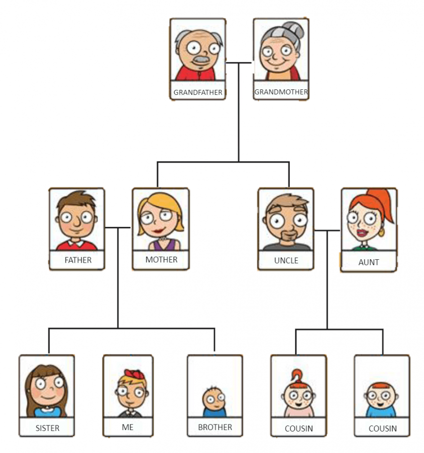 Free Editable Family Tree Examples  EdrawMax Online