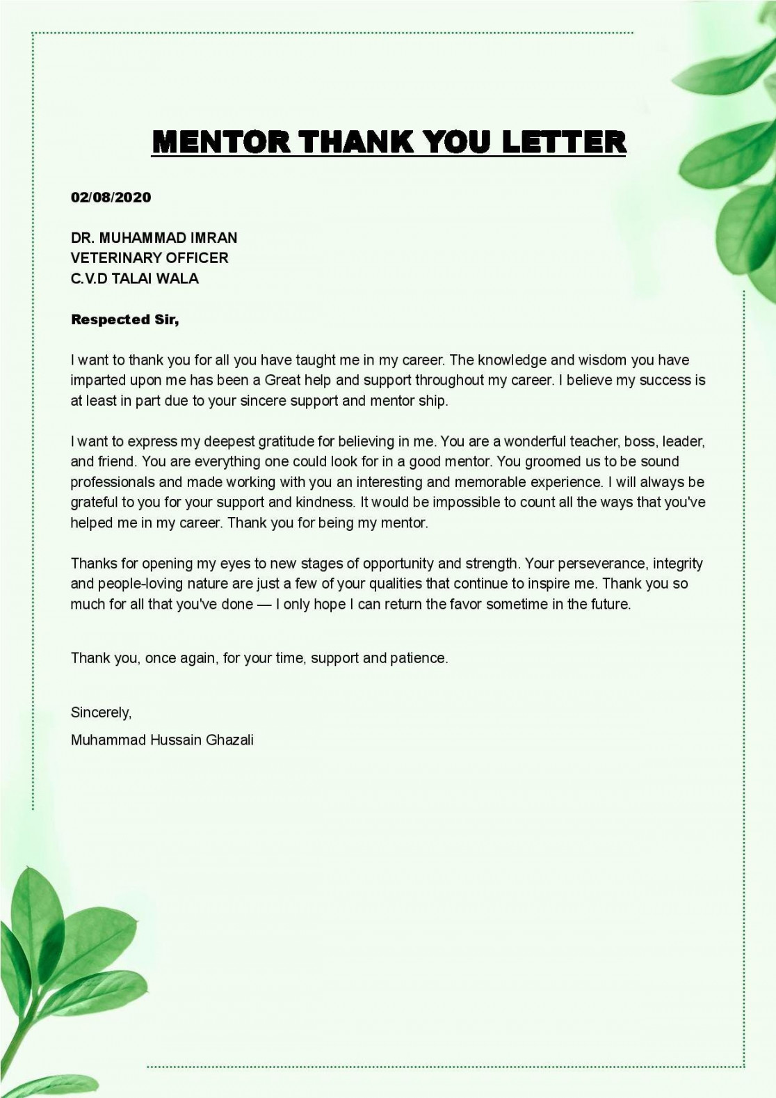 Mentor Thank You Letter