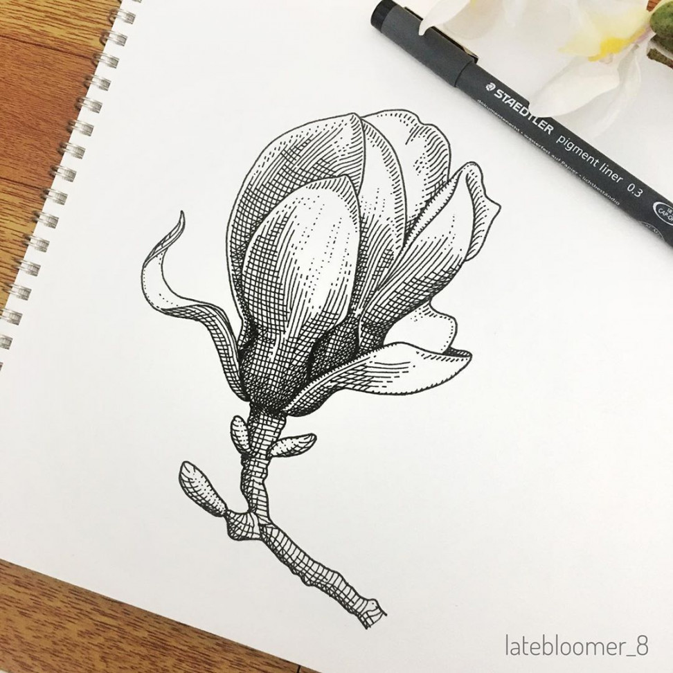 One of my fave flowers to draw! This time trying cross hatching