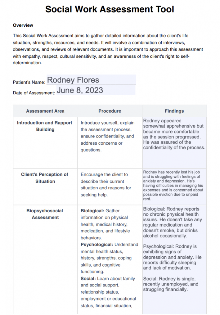 Social Work Assessment Tool & Example  Free PDF Download