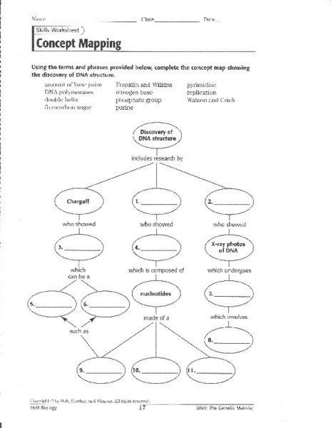 Best 45 Dna Structure And Replication Worksheets Ideas 37