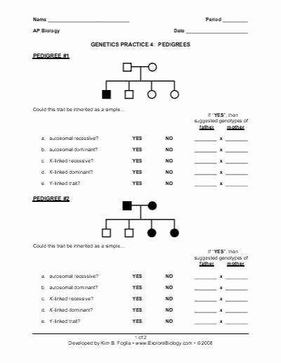 Best 50 Pedigree Worksheets Answers Ideas 13