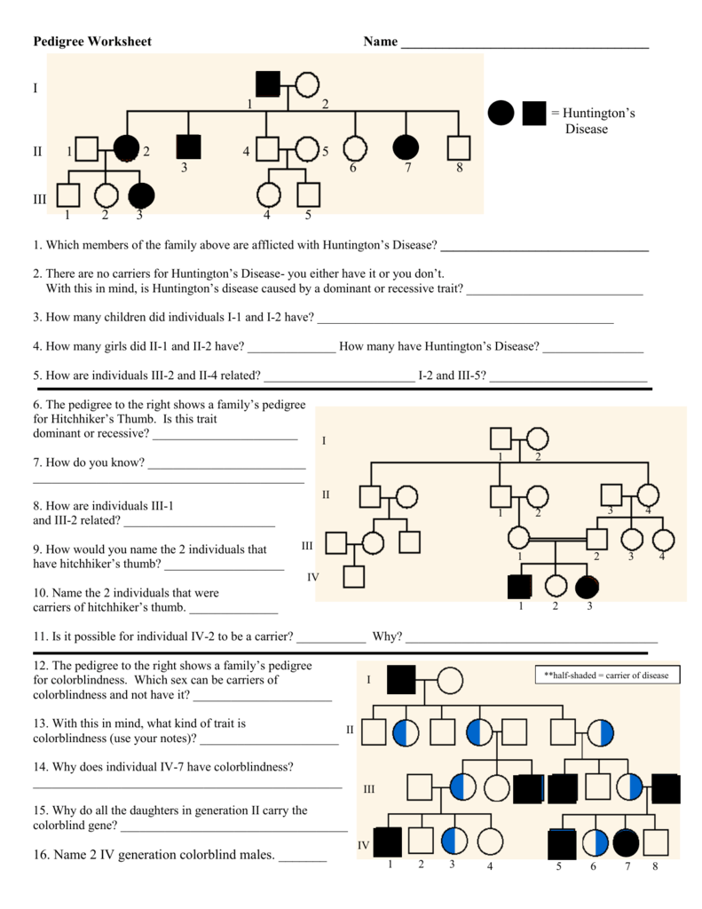 Best 50 Pedigree Worksheets Answers Ideas 14