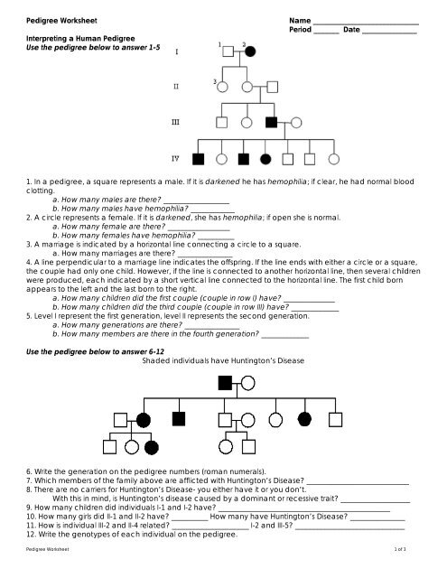 Best 50 Pedigree Worksheets Answers Ideas 16